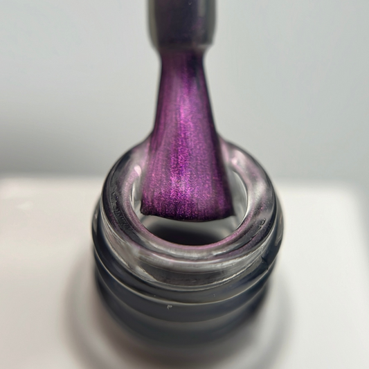 Aurora Top Coat